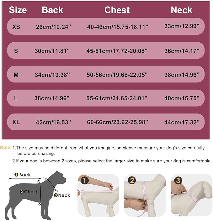 Warm Winter Coat for Dogs, Fashionable Sports Jacket with Built-in Harness, Reflective & Adjustable Pet Vest, Waterproof Windproof Apparel for Small Dogs (Purple)