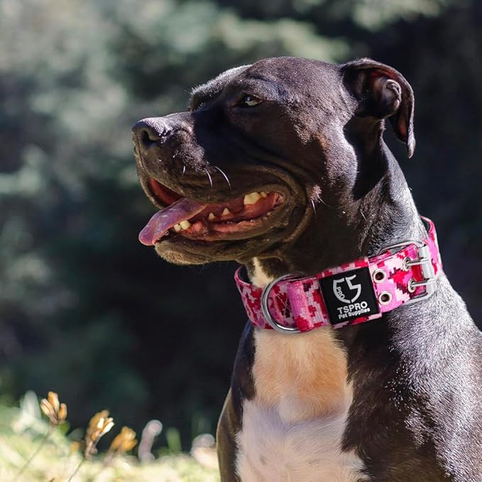 TSPRO Tactical Dog Collar with Metal Buckle & Patch, 1.5 Inch Wide, Adjustable, Durable Thick Collar for Medium to Large Dogs (Camo Khaki)