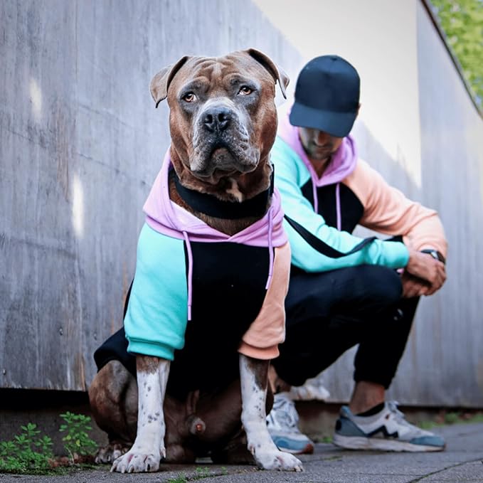 Spark Paws Dog Hoodie - Premium Quality, Buttery Soft, Superior Comfort and Fit, Calming Fleece Interior, Suitable for All Breeds - Cyber Punk - S