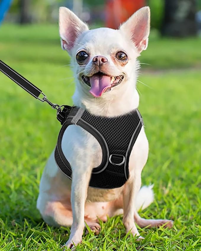 Joytale Small Dog Harness, Breathable Mesh Step-in Vest, Reflective Soft Padded Harnesses for Puppies and Extra Small Dogs, Black, XS