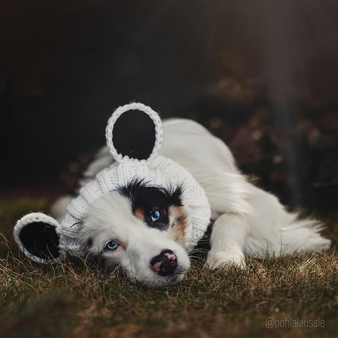 Zoo Snoods Panda Costume - Warm Knit Dog Snood Wrap for Pets, Neck Ear Cover Protection, Halloween Winter (Large)
