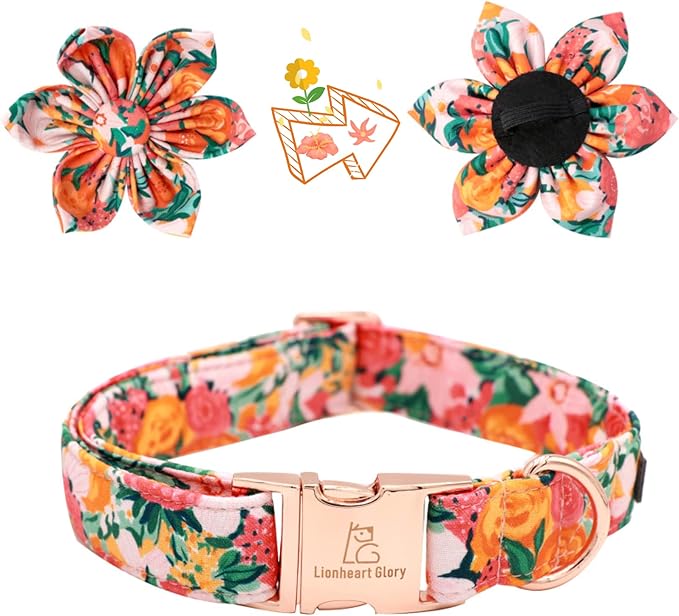 Lionheart Glory Dog Collar With Flower - Cute Floral Pattern Adjustable Pet Collar for Medium Dogs