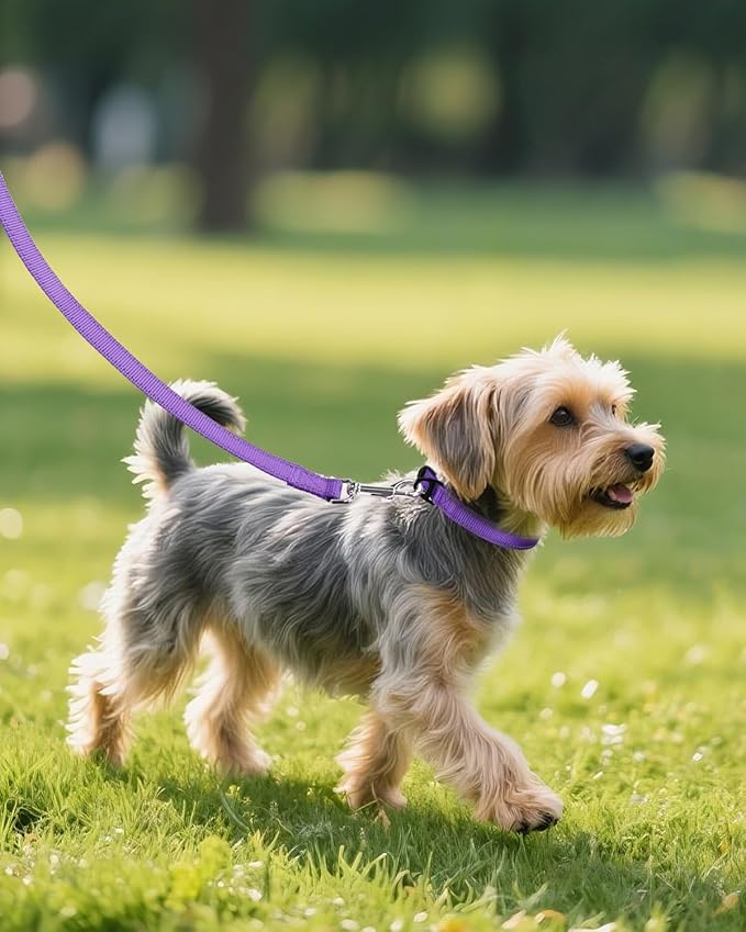Joytale Small Dog Collar, Reflective and Adjustable Nylon Collar with Quick-Release Buckle, Lightweight No-Choke Design for Small Dogs, Purple, 5/8" Width