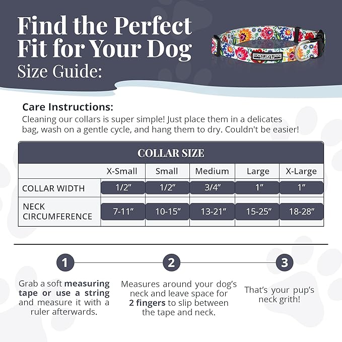 Lucky Love Dog - Adjustable Dog Collar with Easy Click Buckle for Small to Large Ones, Durable, & Comfortable for Male & Female Dogs, Pet Collar for Puppies & Adult Dogs - Ladybird, Medium