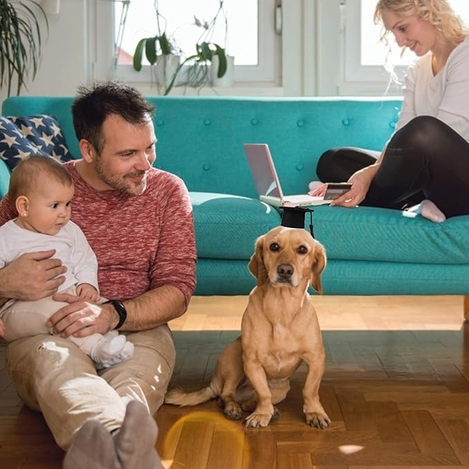 KESYOO 4Pcs Dog Graduation Cap Mini Graduation Cap for Crafts Small Graduation Caps for Decoration Pet Graduation Caps for Holiday Costume Accessory