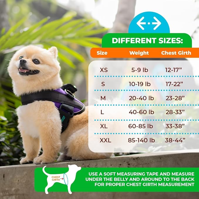 Joyride Harness LED Light Up Dog Harness 2.0 - Patent Pending Design, 3 LED Modes, Vibrant Rechargeable Lighting, Customizable Name Tag Area, and Convenient On/Off Button for Enhanced Pet Safety