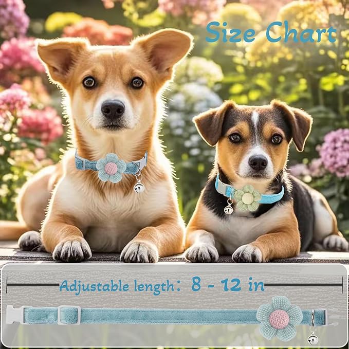 Puppy Collars for Litter, Small Dog Collar with Flower, XS Dog Collars for Small Dogs with Bell for Girl Boy Little Dog(Green + Blue)
