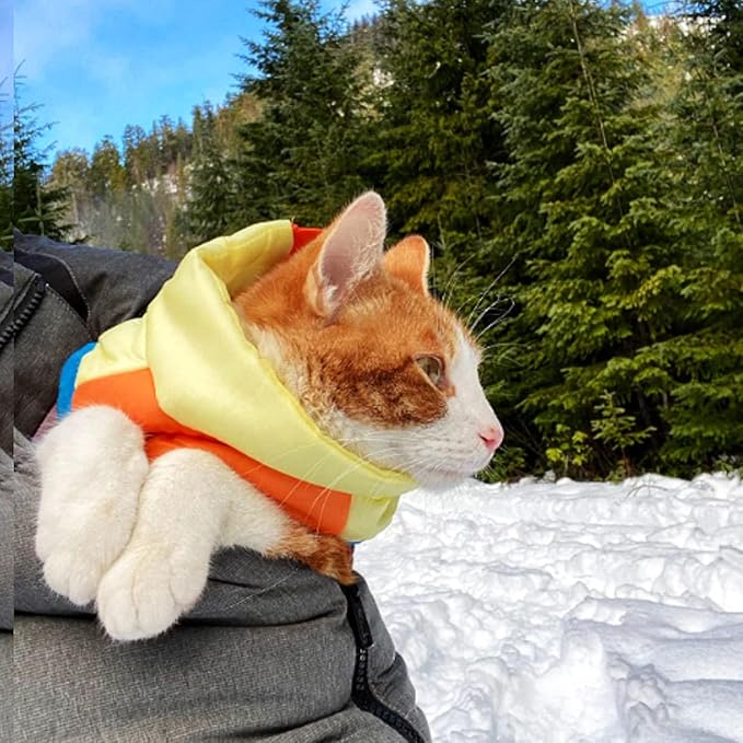 Idepet Pet Dog Cat Coat with Leash Anchor Color Patchwork Padded Puppy Teddy Chihuahua Jacket Vest Costumes Pug Clothes (M, Sky Blue)