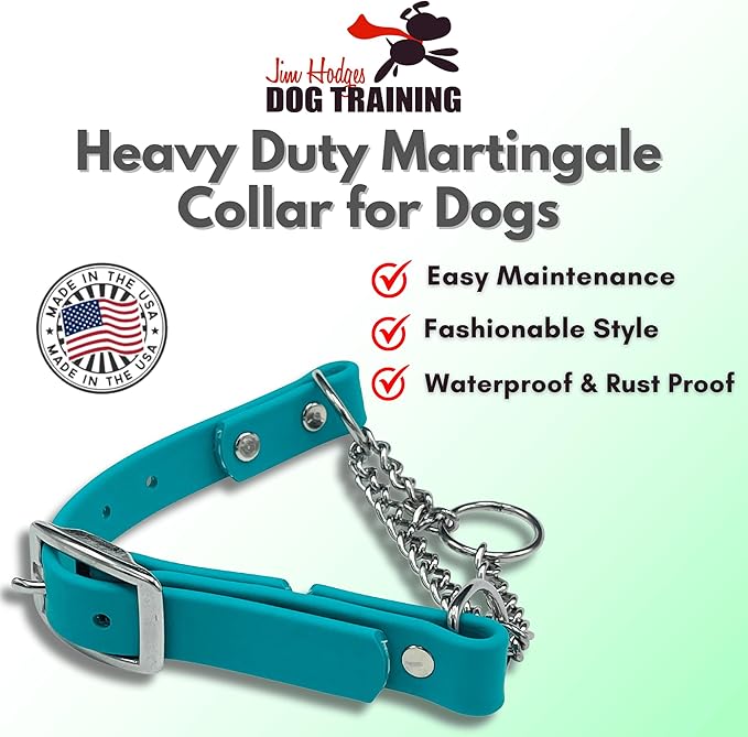 Martingale Collar for Dogs, Biothane, Stainless Steel Hardware, No Pull, Made in The USA, Professional Grade, XXS, Teal