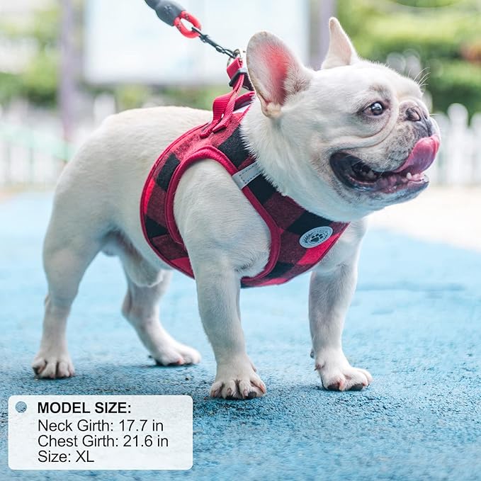 BEAUTYZOO Small Dog Harness and Leash Set,Step in No Choke No Pull Soft Mesh Dog Harnesses Reflective for Extra-Small/Small Medium Puppy Dogs and Cats, Plaid Dog Vest Harness for XS S Pets, Red L