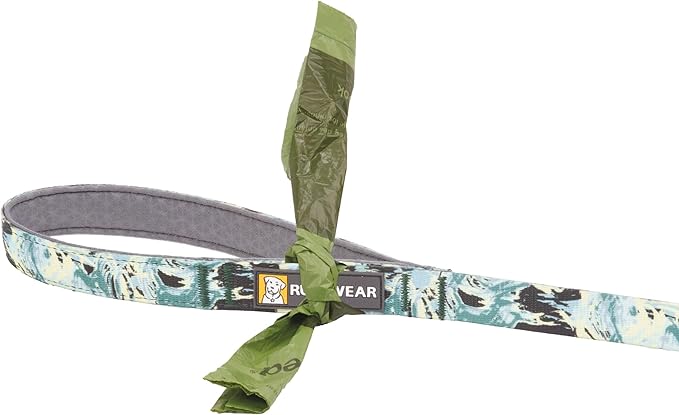 Ruffwear, Front Range Dog Leash, 5 ft Lead with Padded Handle for Everyday Walking, Sweeping Sage