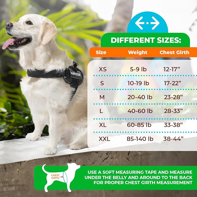 Joyride Harness LED Light Up Dog Harness 2.0 - Patent Pending Design, 3 LED Modes, Vibrant Rechargeable Lighting, Customizable Name Tag Area, and Convenient On/Off Button for Enhanced Pet Safety
