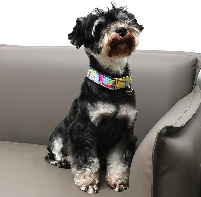 Tie Dye Summer Cotton Dog Collar with Metal Buckle Gift Collar for Small Medium Large Girls or Boys Dogs Cute Durable Comfortable Pet Collars
