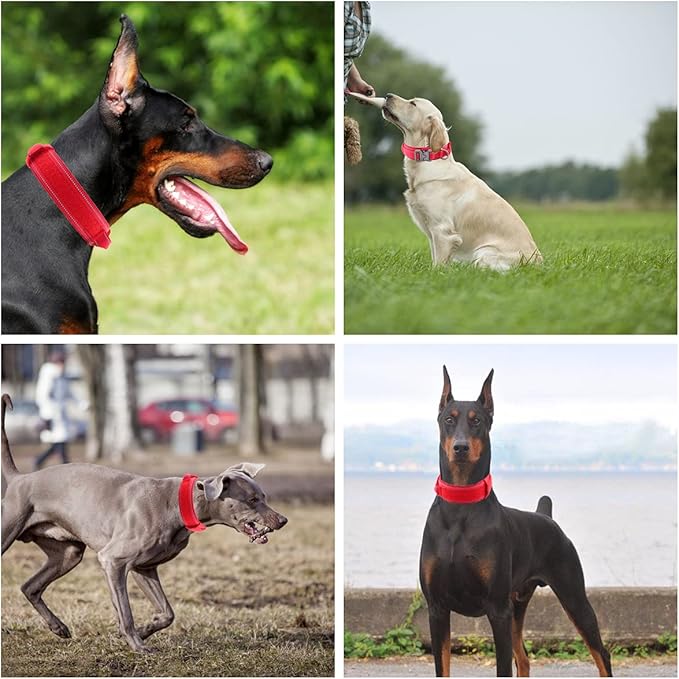 Tactical Dog Collar with Heavy Duty Metal Buckle and Control Handle for Medium Large Dogs Training(Red, Medium)