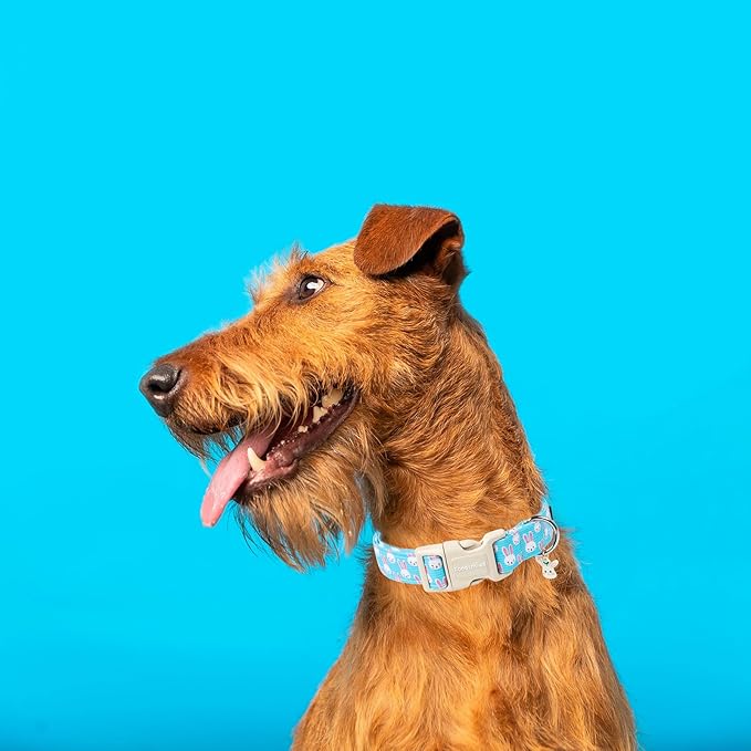 Lionet Paws Easter Dog Collar- Cute Bunny Blue Dog Collars with Plastic Buckle, Light Adjustable Dogs Collars with Rabbit Pendant for Medium Dogs