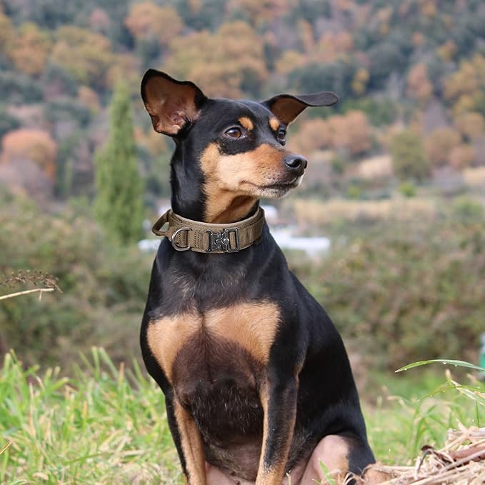 EXCELLENT ELITE SPANKER Tactical Dog Collar Nylon Adjustable Training Collar Military Dog Collar Heavy Duty Metal Buckle with Control Handle for Medium and Large Dogs with Patches(COB-L)