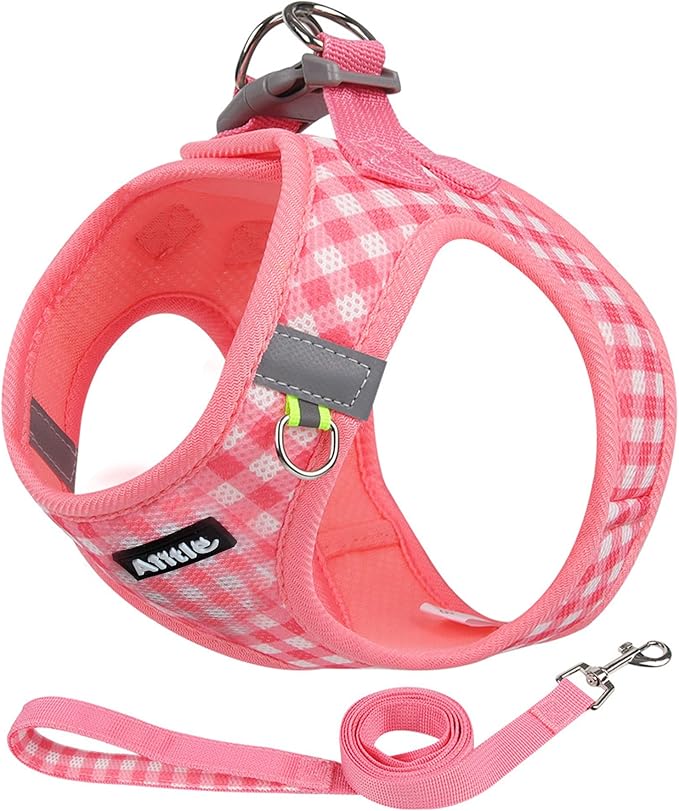 AIITLE Small Dog Harness and Leash Set, Step in No Pull Pet Harness, Soft Mesh Reflective Plaid Vest Harnesses for Small Dogs Puppy and House Cats Outdoor Walking Running Watermelon XS