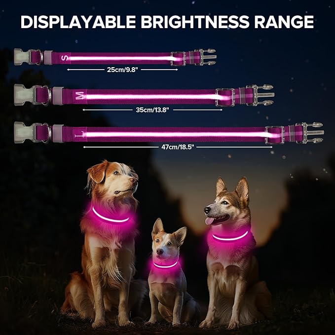 Led Dog Collar for Night Walking,Rechargeable Light Up Dog Collar Led Color,Glow in The Dark Dog Collars Waterproof for Small Medium Large Dogs (Pink, Medium)