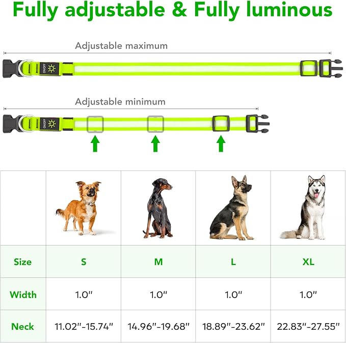Vizpet LED Dog Collar, Light Up Dog Collar Adjustable USB Rechargeable Super Bright Safety Light Glowing Collars for Dogs(X-Large,Green)