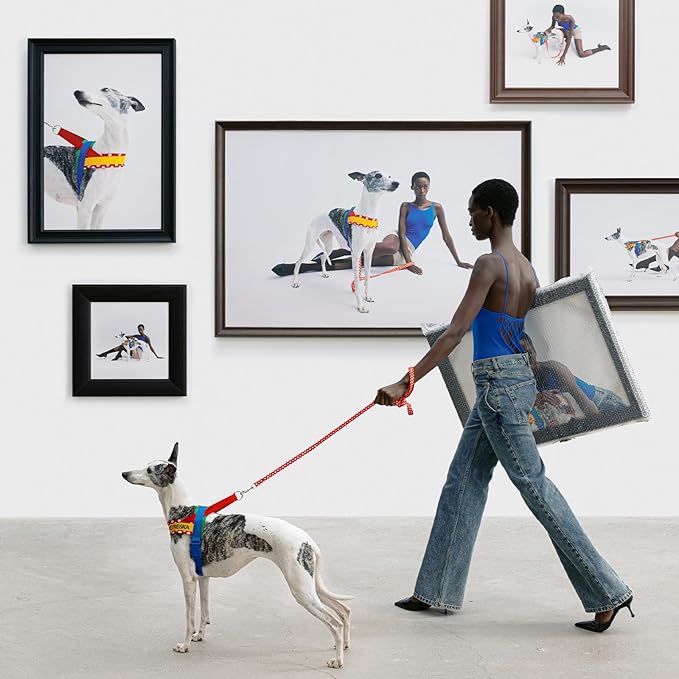 VETRESKA MoMA Dog Harness and Leash Set, Easy Walk Dog Harness for Large Dogs, No Pull Puppy Harness for Walking and Training, Adjustable, Take Control & Anti-Twist Pet Lead Combo(Red, L)