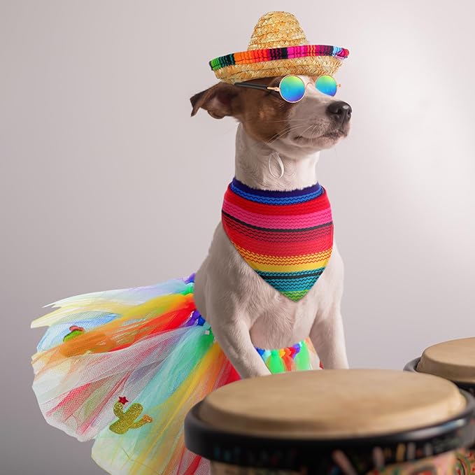 JaGely 4 Pieces Pet Mexican Costume Dog Outfit Accessories Includes Mexican Cinco De Mayo Pet Sombrero Hat, Triangle Dog Bandana Glasses and Tulle Tutu Skirt for Medium Large Pets Mexican Costume