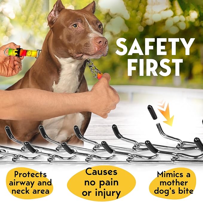 PetJett Prong Collar for Dogs Training Collar Adjustable Choke Collar for Dog Quick Release Pinch Collar for Dog for Small Medium Large Dogs No Pull Walking Tool - Stainless Steel Metal Choker Chain