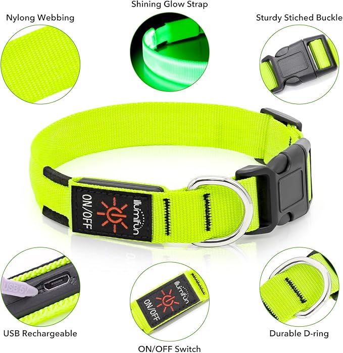 Illumifun LED Collar for Small Dogs, USB Rechargeable Light Up Dog Collars, Flashing Pet Safety Light Glow in The Dark (Green, Small)