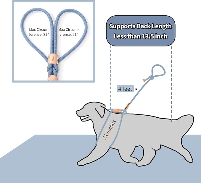 Mile High Life Harness Lead No Pull, All in one Dog Lead 2-in-1, Rope Leash and Harness Two in One, Slip Leash for Puppy Small Dogs Training, 4FT Blue