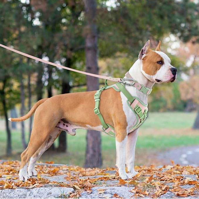 No Pull Dog Harness Adjustable Soft Padded Pet Vest with Control Handle Adorable Daily Harness for Dogs(Gossamer Pink S)