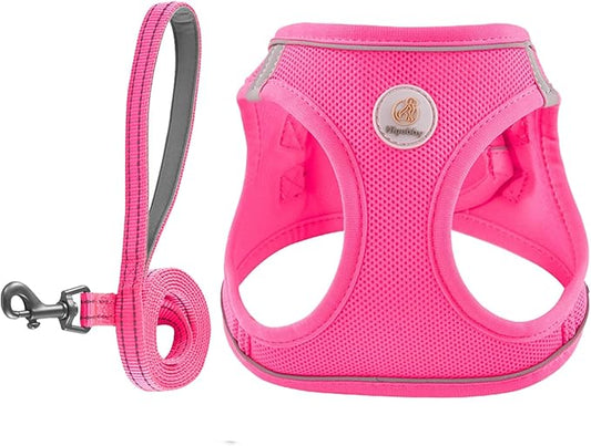Dog Harness and Leash Set, No Pull Soft Mesh Pet Harness for Small Medium Dogs, Cats - Step in Adjustable Reflective Puppy Harness with Buckle and Double D-Rings - Red, XXS