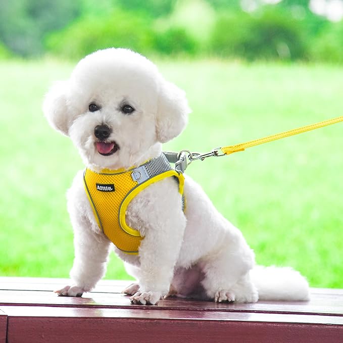 AIITLE No Pull Dog Harness and Leash Set, Step in Adjustable Dog Harness with Padded Vest for All Weather, Dog Leash with Soft Padded Handle, Easy to Put on Small and Medium Dogs Yellow S