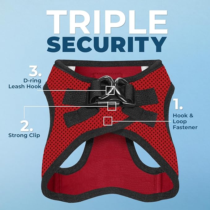 Voyager Step-in Air Dog Harness - All Weather Mesh, Reflective, No Pull Harness for Small, Medium Dogs, Cats - Secure with Hook & Loop Fastener, Buckle, Double D-Rings - Red/Black Trim, XXXS