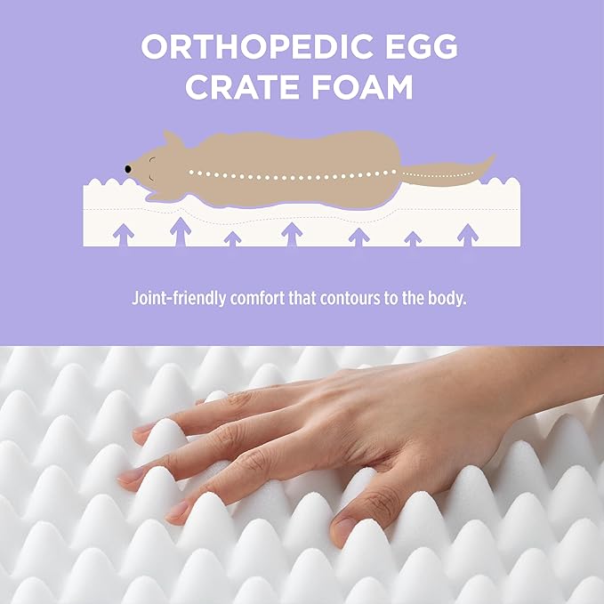 Lesure Cute Orthopedic Dog Bed Medium Size Dog, Waterproof Chic Flat Pet Beds with Removable Washable Cover, Fuzzy Thick Egg Crate Foam Pet Mat for Indoor Use (30" x 20", Cream)