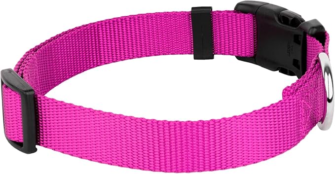 Country Brook Petz - American-Made Dog Collar for Large, Medium, and Small Dogs and Puppies - Deluxe Heavy Duty Nylon in 33 Dazzling Colors (Small, 3/4 Inch Wide, Fuchsia)
