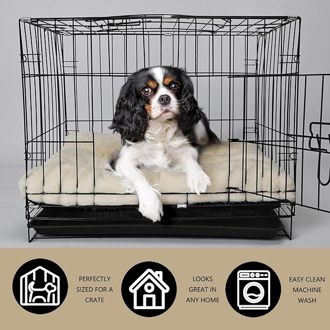 Dog Beds for Crates 30x19 Washable for Medium Size Dogs Soft 30 inch Crate Pad for Kennel or Cage with Anti-Slip Bottom Sleeping Mat Ideal for Dog Crates | Machine Wash & Dryer Friendly,Cream White