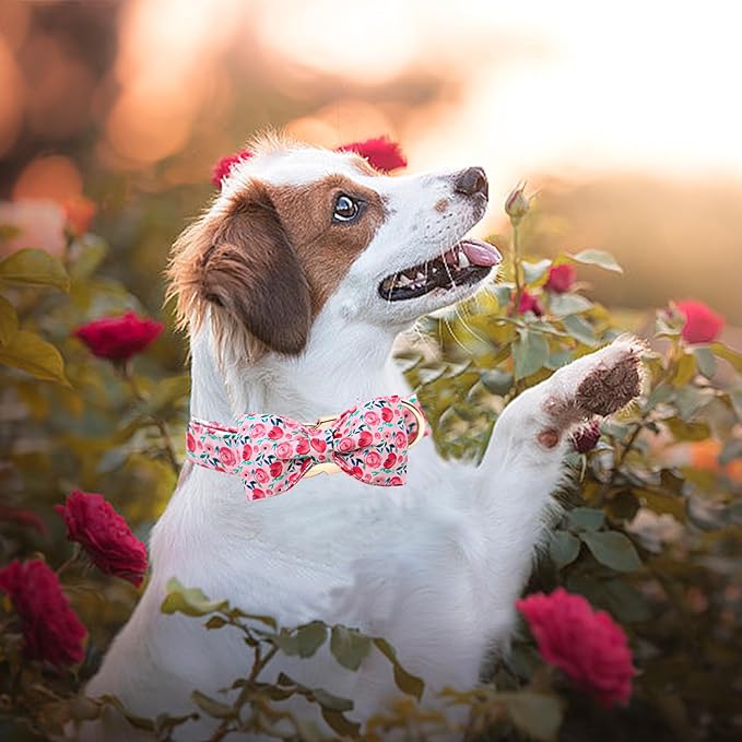 Dog Collar Pink Flowers Print Girl Cute Puppy Collar with Bow Adjustable Metal Buckle Collar Gift Collars for Medium Dogs