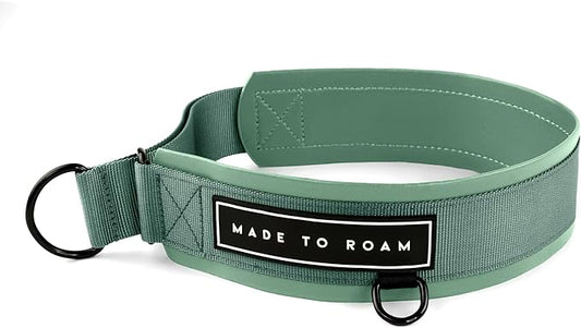 MADE TO ROAM Premium Everyday Dog Collar - Martingale Style No Pull Vegan Leather Collar, Heavy Duty and Lightweight for Small, Medium, Large Dogs (Florida Seaside, Size 10)