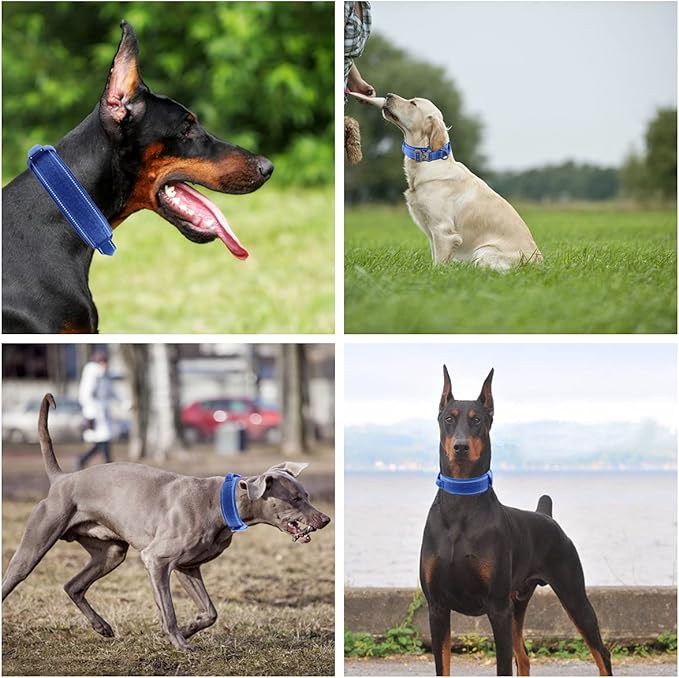 Tactical Dog Collar with Heavy Duty Metal Buckle and Control Handle for Medium Large Dogs Training(Bright Blue, X-Large)