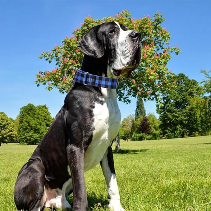 1.5 Inches Martingale Collar for Dogs Large Medium, with Special Blue Plaid Design, Adjustable Premium No Slip Collar for Girl Boy Dogs(Blue Plaid M)