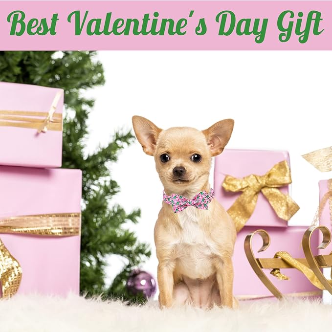 Unique style paws Dog Collar with Bowtie Pink Dinosaur & Heart Puppy Collar Suitable for Small Medium Large Dogs with Adjustable Safety Metal Buckle for Valentine's Day-M