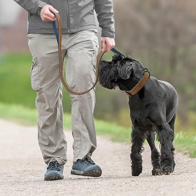 Didog Soft Padded Leather Dog Collar and Leash Set, Heavy Duty Dog Leash and Collar Set with Metal Buckle, Breathable Dog Collars with 4FT Leather Dog Leash for Small Medium Large Dogs, Brown, L