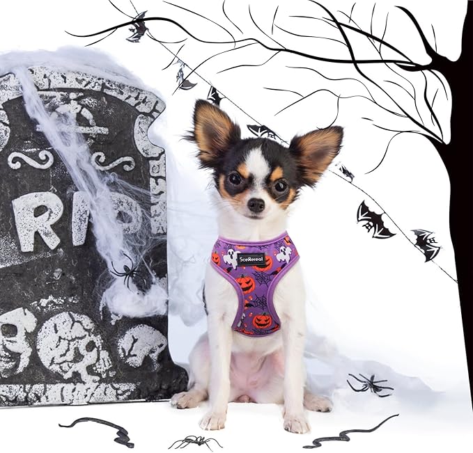 SCENEREAL Small Dog Harness Collar and Leash Set, Adjustable No Pull Pet Harnesses, No Chock Soft Mesh Step in Vest Halloween Costume for Doggie Puppy Dogs Cats Girl Boy Outdoor Walking