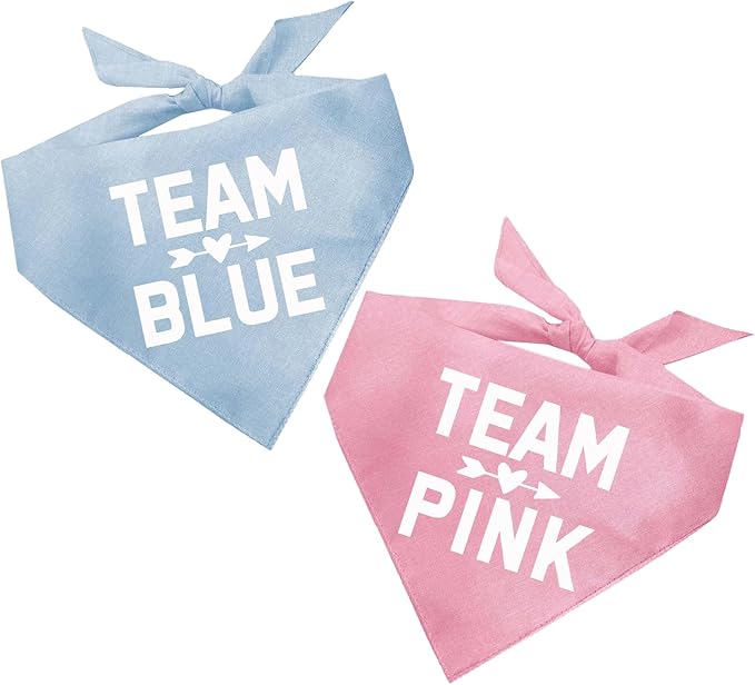 Team Pink | 100% Cotton Adjustable Triangle | Made in USA | Pregnancy Announcement Photoshoot Prop | New Baby | Gender Reveal | Baby Pink X-Small (210)