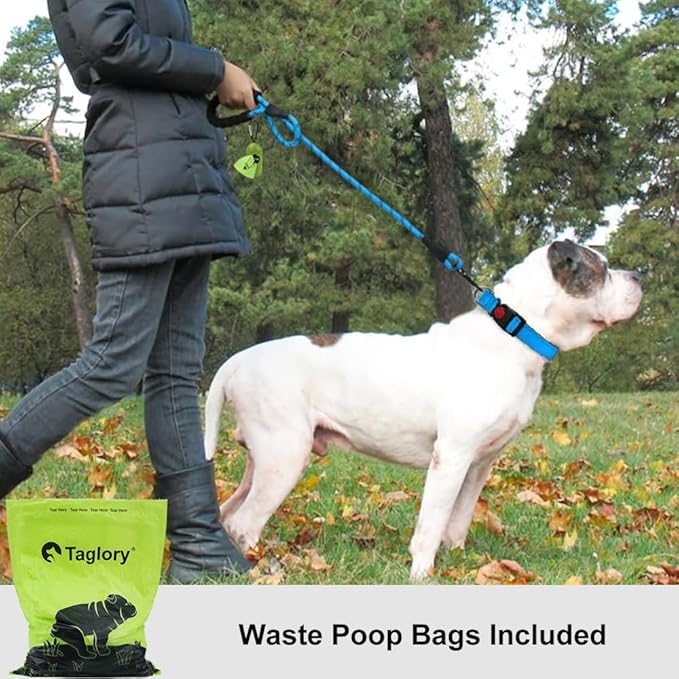 Taglory Rope Dog Leash 5 FT with Comfortable Padded Handle, Highly Reflective Threads Leash for Medium Large Dogs, 1/2 inch, Blue