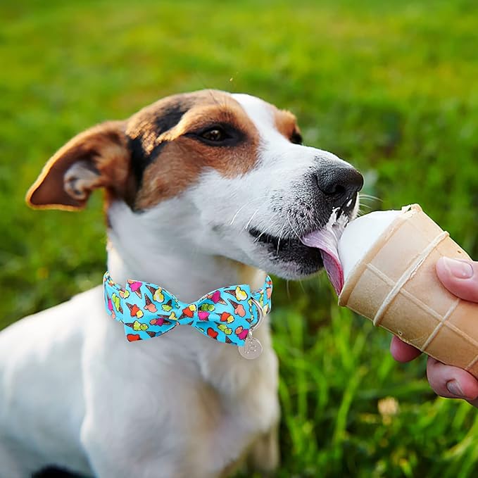 Summer Dog Collar with Bow Tie, Cotton Cute Bowtie Dog Collar, Summer Bowtie Collar for Medium Boy Girl Dog, Comfortable Blue Dog Collar with Metal Buckle, M