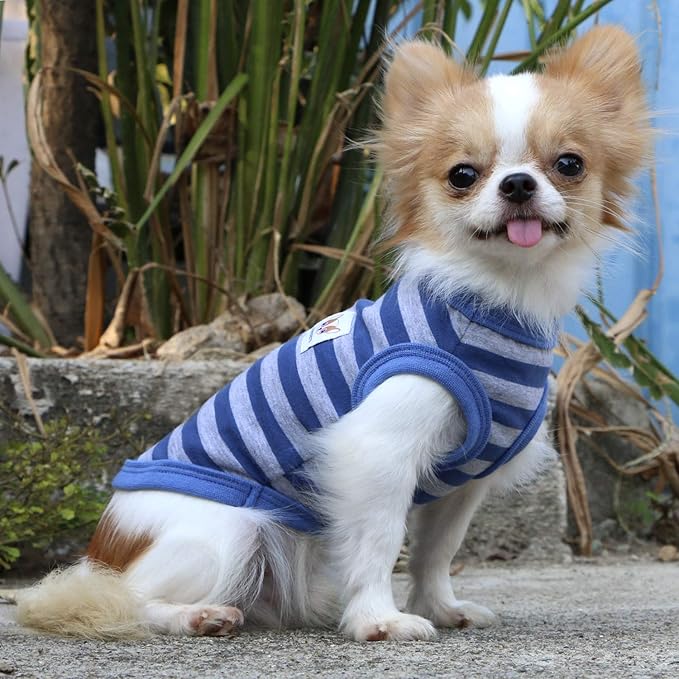 LOPHIPETS 100% Cotton Striped Dog Shirts for Small Dogs Chihuahua Puppy Clothes Tank Vest-Blue and Gray Strips/L