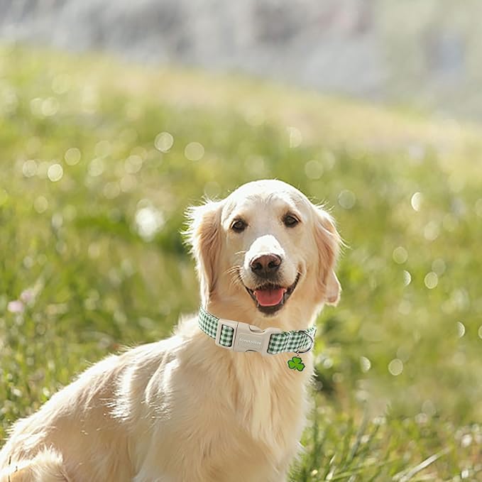 Lionet Paws St. Patrick Dog Collar, Comfortable Adjustable Green Collar with Green and White Grid Pattern for X-Small Male Female Puppies Dogs Collars, Neck 8-12 inches