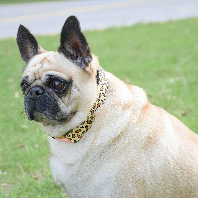 Metal Buckle Dog Collar, Durable Adjustable Dog Collar Soft for Small Medium Large Dogs (L(15-23in), Yellow Leopard)
