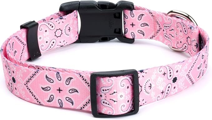 Country Brook Petz - Deluxe Pink Bandana Dog Collar - Made in The U.S.A. - Country and Western Collection Featuring Rustic Designs (5/8 Inch, Small)