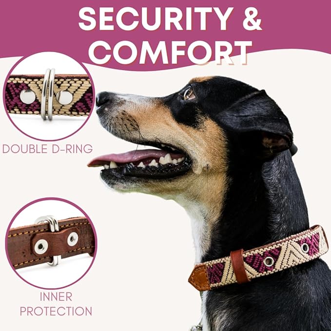 Western Dog Collar - Leather Embroidered Design for Small Medium Large Dogs & Puppy Pets - Aztec Southwest for Boy and Girl Female & Male Dogs - Collar para Perros Beaded (Large, Baja White)
